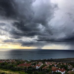 Meet your Posher, Pablo